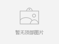 其它系列